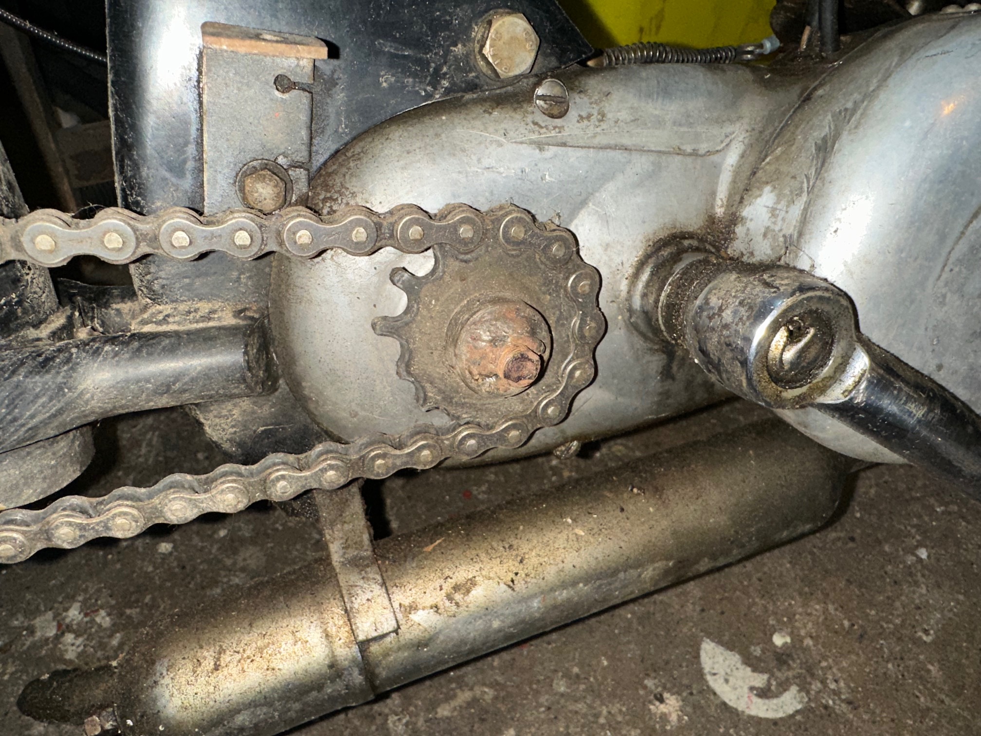 IMG_2837 (1).jpeg Radexi.jpeg