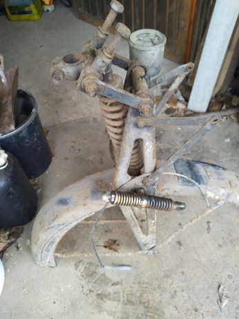 IMG_20260114_104657 klein.jpg