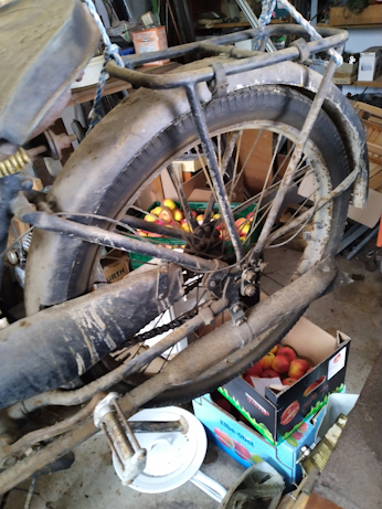 IMG_20260114_104820_1 klein.jpg